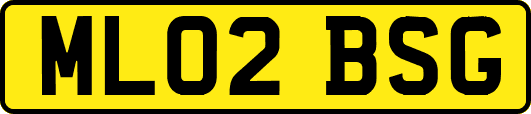 ML02BSG