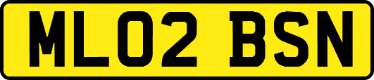 ML02BSN