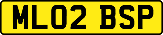 ML02BSP