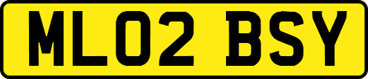 ML02BSY