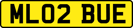 ML02BUE