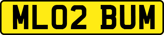 ML02BUM