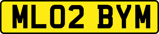 ML02BYM
