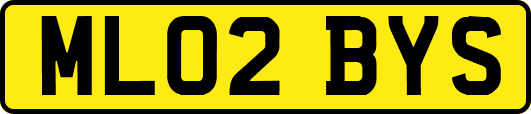 ML02BYS