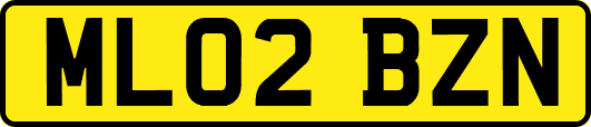 ML02BZN