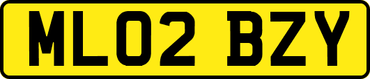 ML02BZY