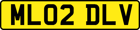 ML02DLV