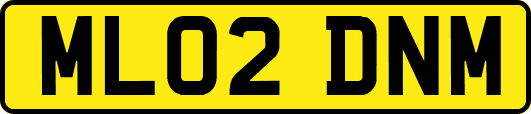 ML02DNM