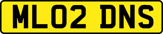 ML02DNS