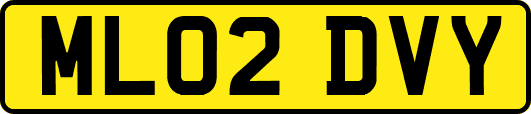 ML02DVY