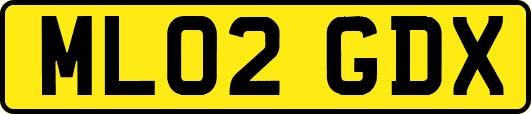 ML02GDX