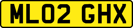 ML02GHX