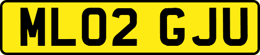 ML02GJU