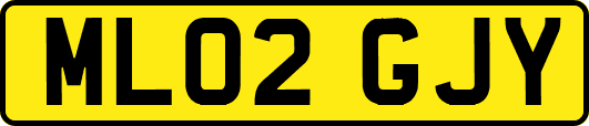 ML02GJY