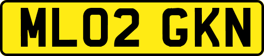 ML02GKN