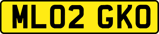 ML02GKO