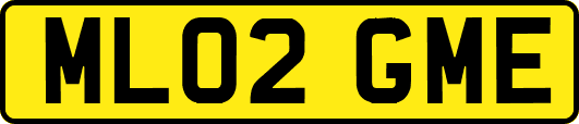 ML02GME