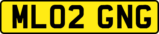 ML02GNG