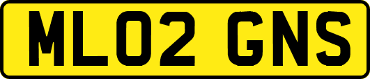 ML02GNS