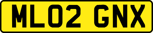 ML02GNX