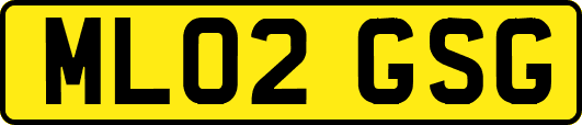 ML02GSG