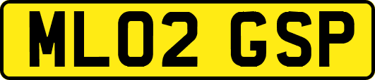 ML02GSP