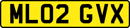 ML02GVX