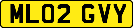 ML02GVY