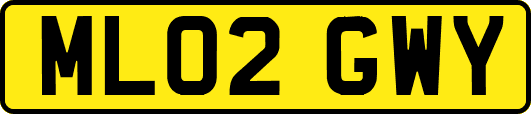 ML02GWY