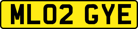 ML02GYE