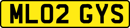 ML02GYS