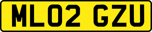 ML02GZU