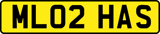 ML02HAS