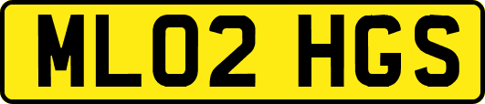 ML02HGS