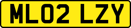 ML02LZY