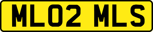 ML02MLS