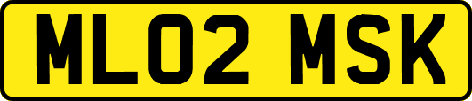 ML02MSK