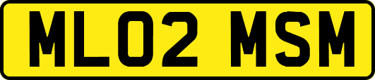 ML02MSM