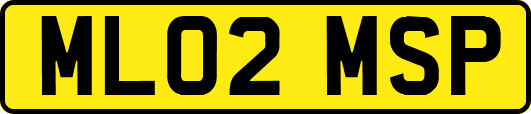 ML02MSP