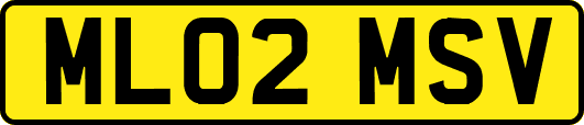 ML02MSV