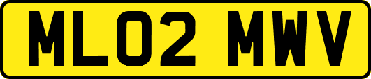 ML02MWV