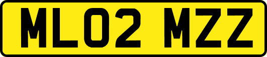 ML02MZZ