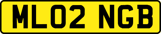 ML02NGB