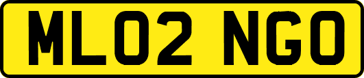 ML02NGO