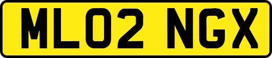 ML02NGX