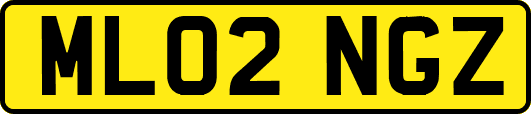 ML02NGZ