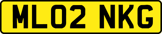 ML02NKG