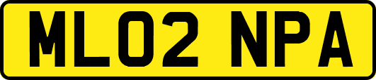 ML02NPA