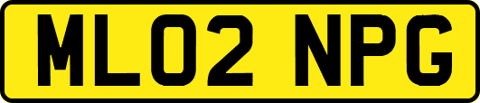 ML02NPG