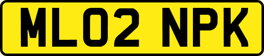 ML02NPK